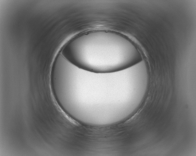 X0000067501333200604071013