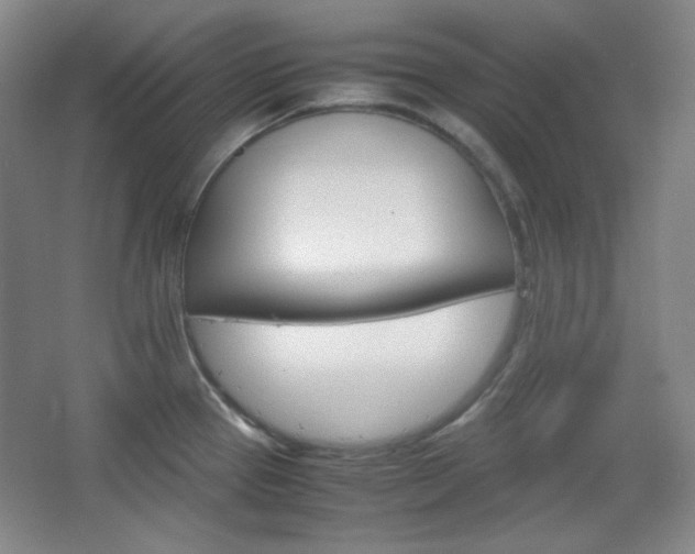 X0000067501337200604071013