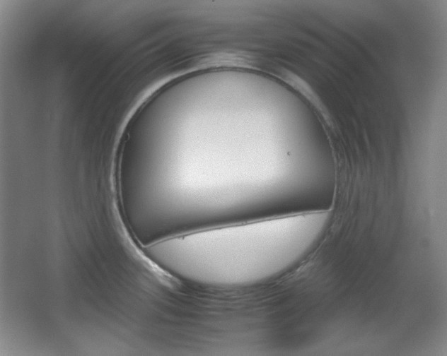X0000067501339200604071013