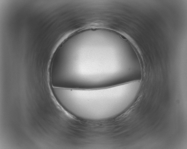 X0000067501341200604071013