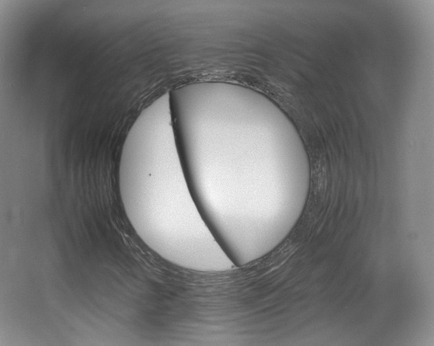 X0000067501346200604071012