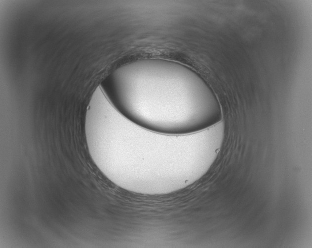X0000067501347200604071012