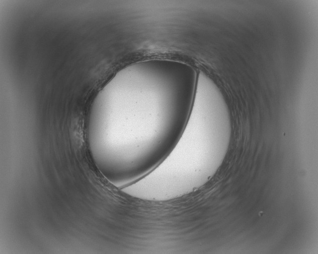 X0000067501348200604071012