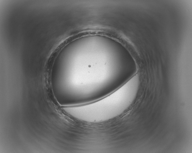 X0000067501352200604071012