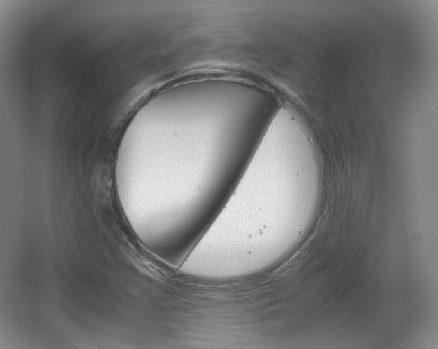 X0000067501355200604071012