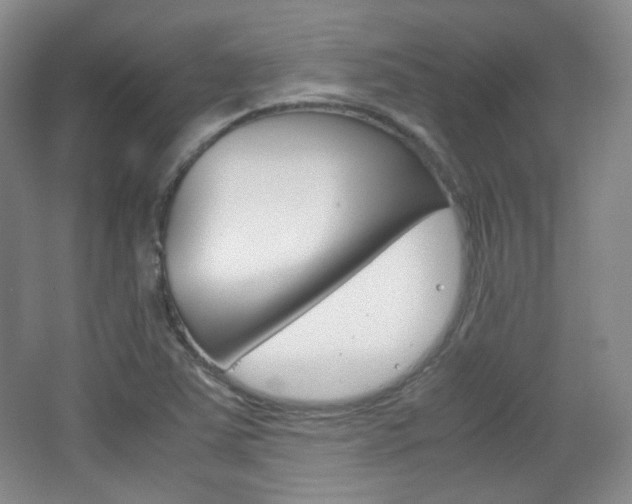 X0000067501363200604071012