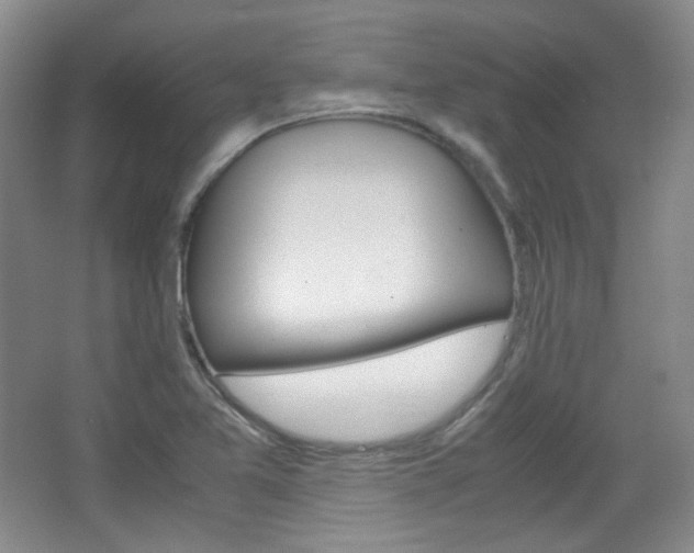 X0000067501365200604071012
