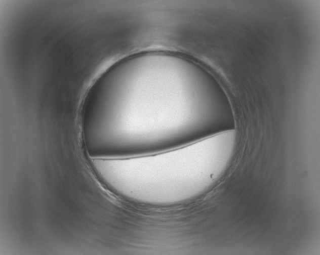 X0000067501367200604071012