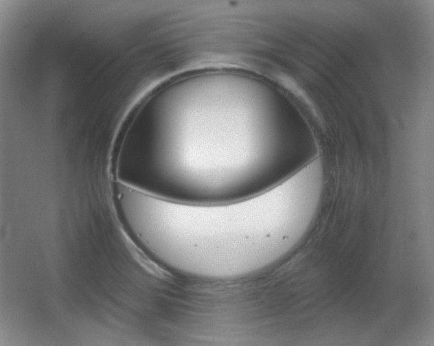 X0000067501372200604071012