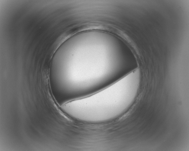 X0000067501377200604071012
