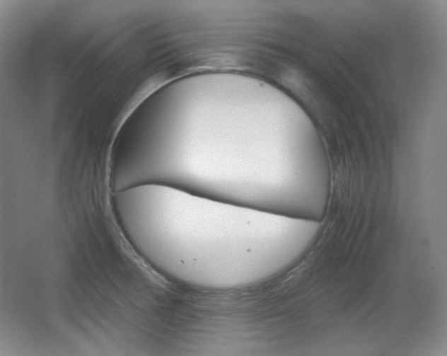 X0000067501378200604071012