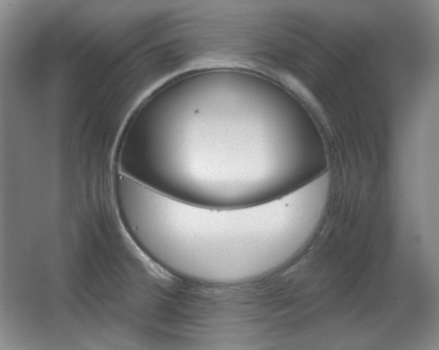 X0000067501380200604071012