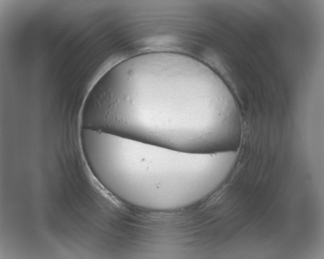 X0000067501386200604071012