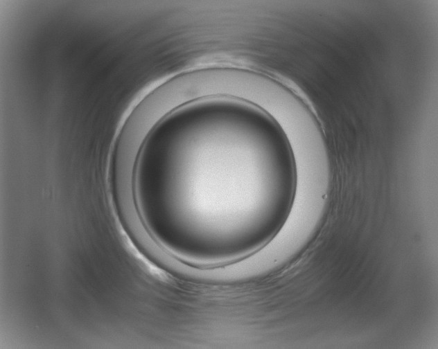 X0000067501387200604071012