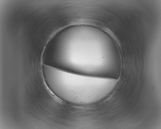 X0000067501388200604071012