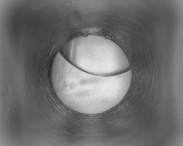 X0000067501393200604071011
