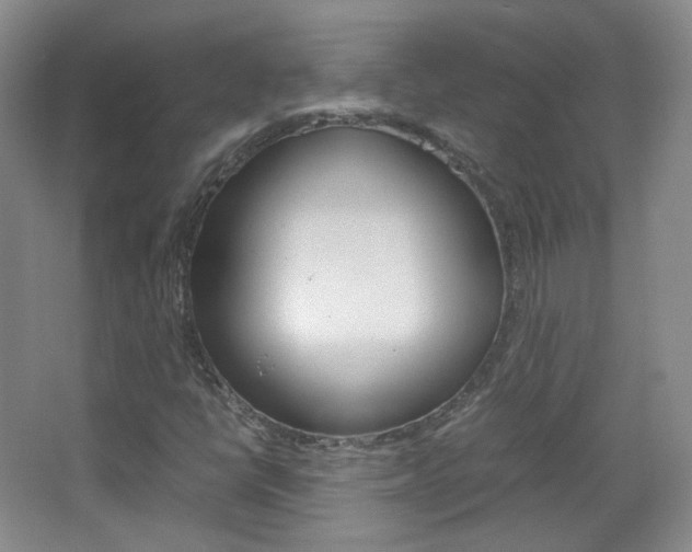 X0000067501398200604071011