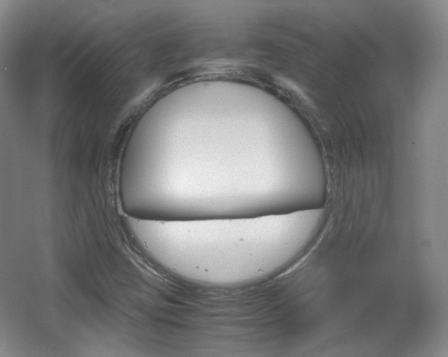 X0000067501403200604071011