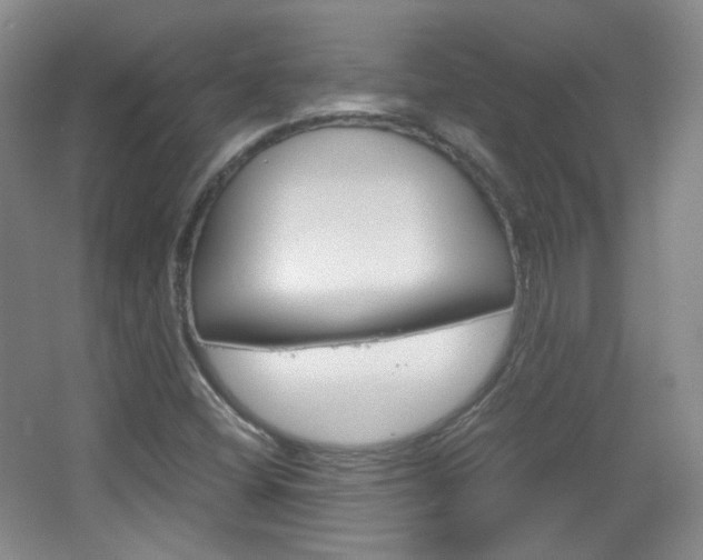 X0000067501404200604071011