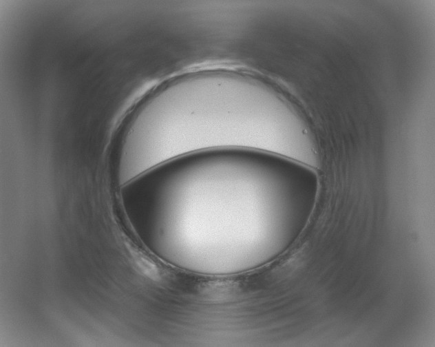 X0000067501406200604071011