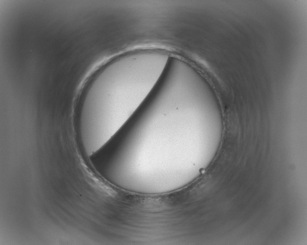 X0000067501408200604071011