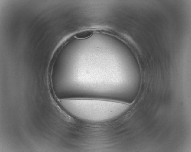 X0000067501412200604071011
