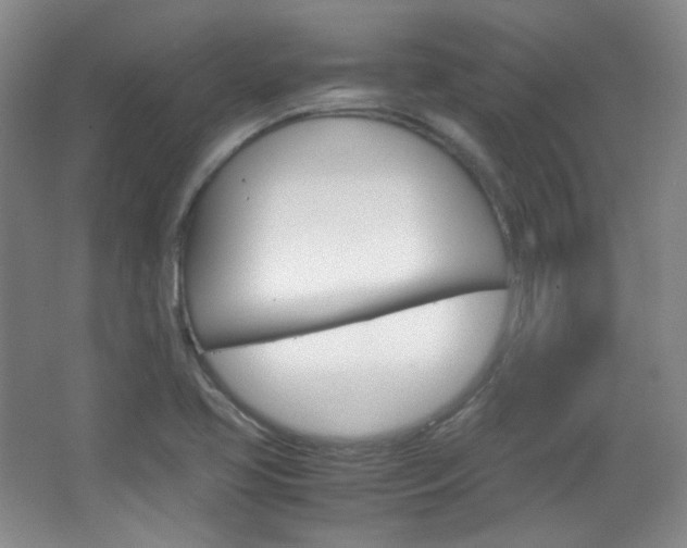 X0000067501413200604071011