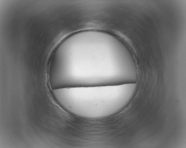 X0000067501415200604071011