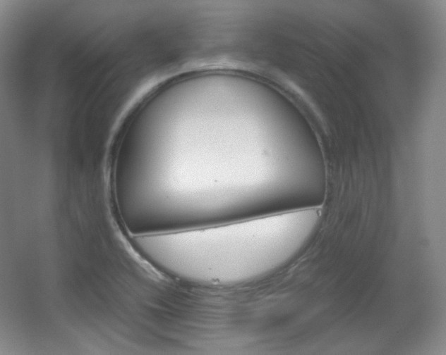 X0000067501416200604071011