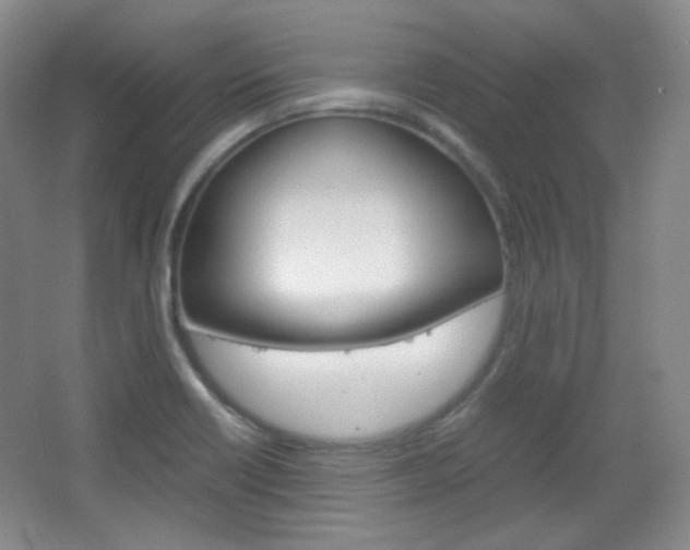 X0000067501418200604071011