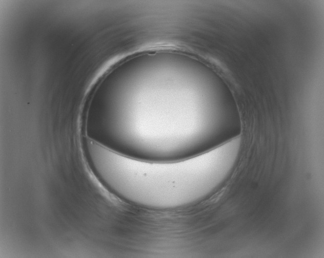 X0000067501422200604071011