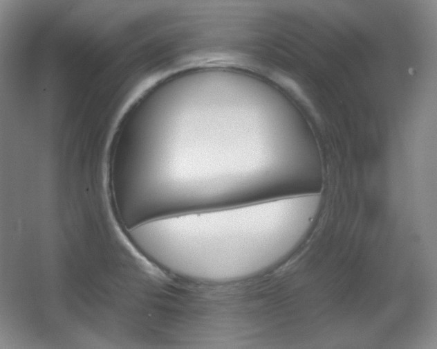 X0000067501424200604071011