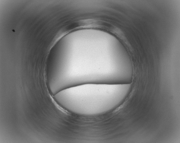 X0000067501425200604071011