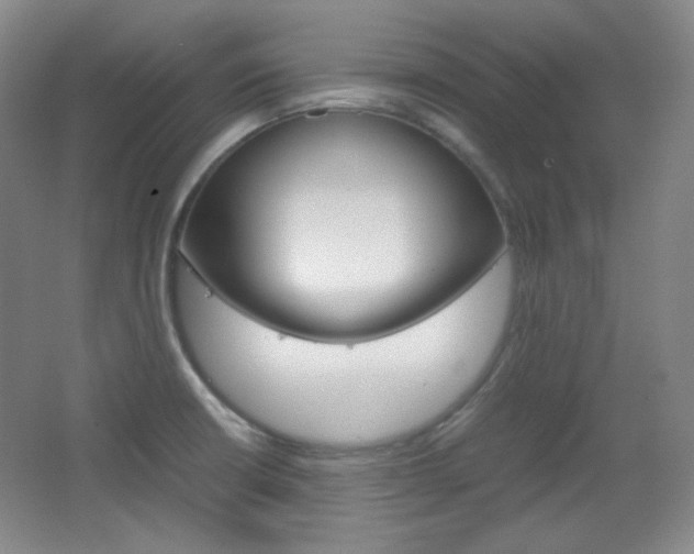 X0000067501426200604071011