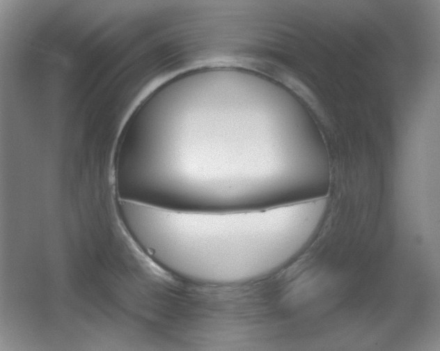 X0000067501428200604071011