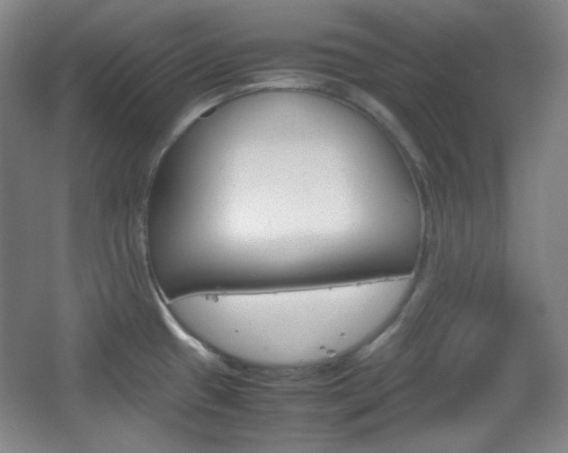 X0000067501433200604071012