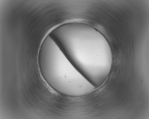 X0000067501436200604071012