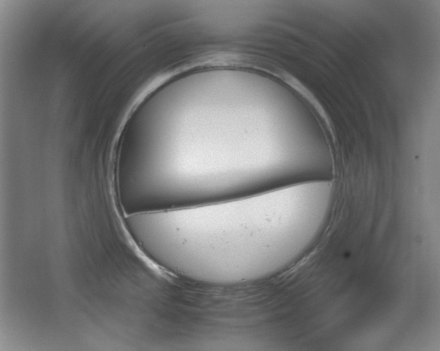 X0000067501437200604071012