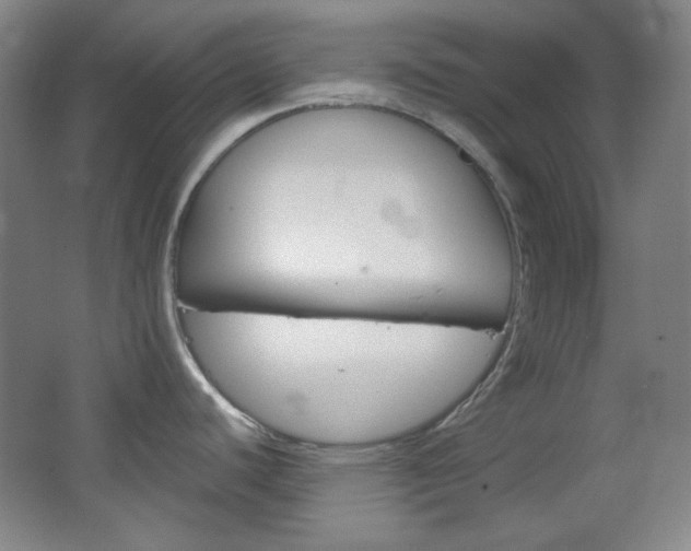 X0000067501440200604071012