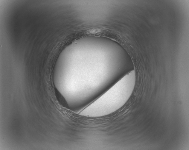 X0000067501441200604071011
