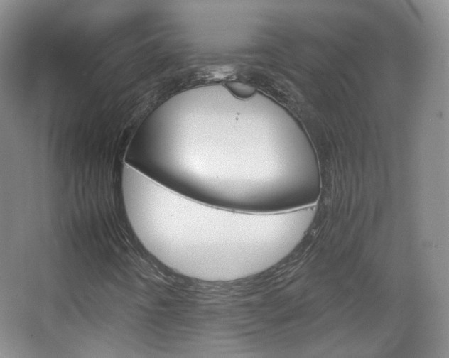 X0000067501442200604071011