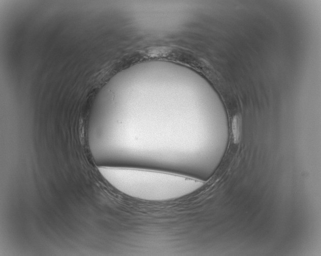 X0000067501443200604071011