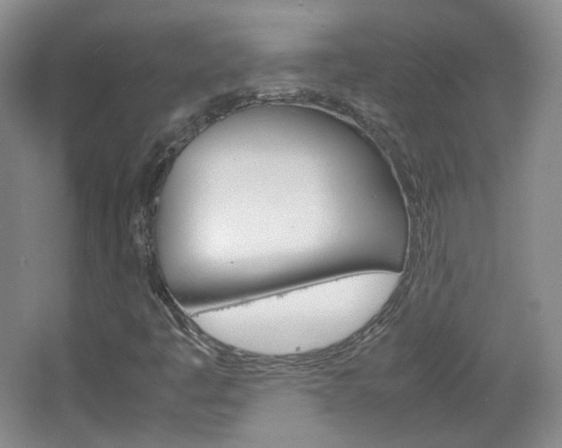 X0000067501445200604071011