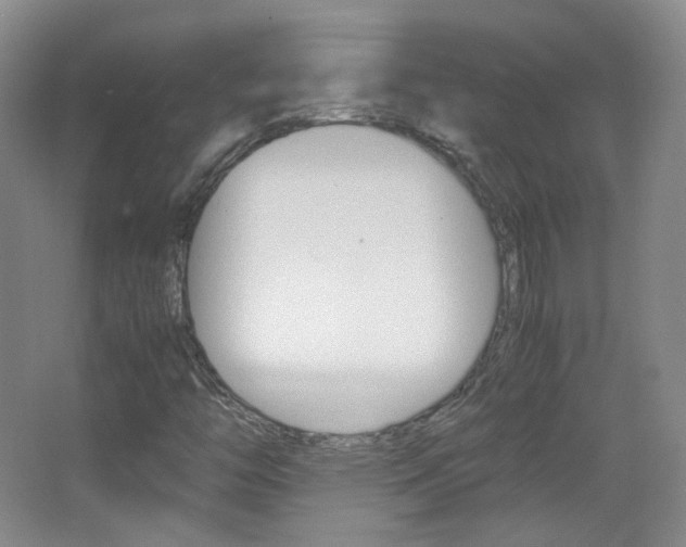 X0000067501446200604071011