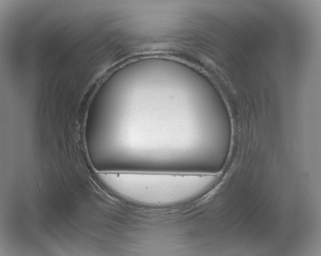X0000067501449200604071011
