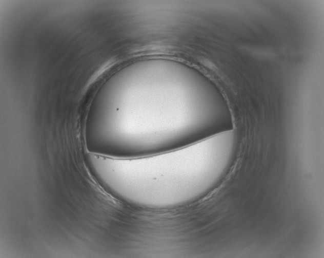 X0000067501450200604071011