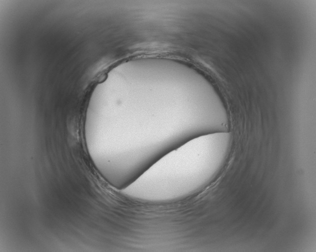 X0000067501451200604071011