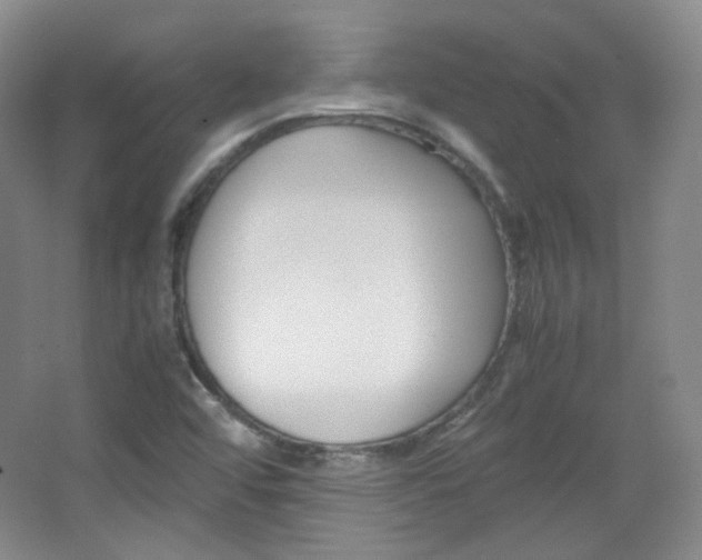 X0000067501456200604071011