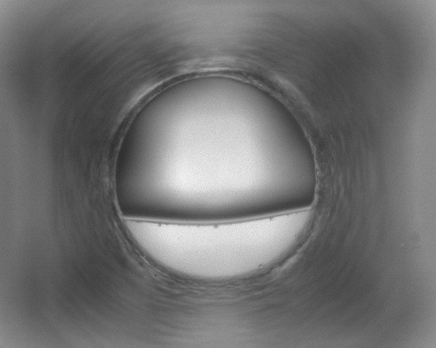 X0000067501457200604071011