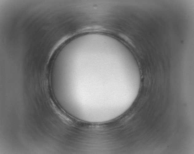 X0000067501458200604071011